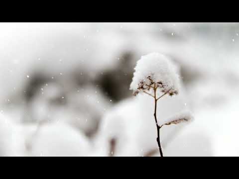 Mind relaxation music .