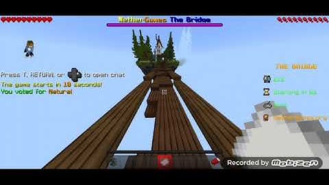 The Bridge Gameplay || Nethergames