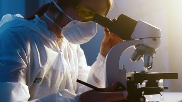Scientists Stock Footage | Looking Through Microscope | 4K Free Stock Videos | Copyright Free Videos