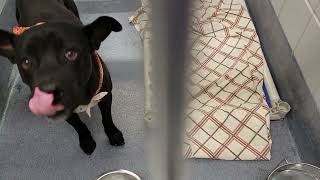 acs A651343