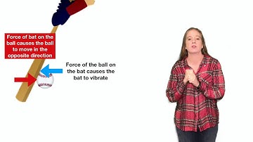 Understanding Newton