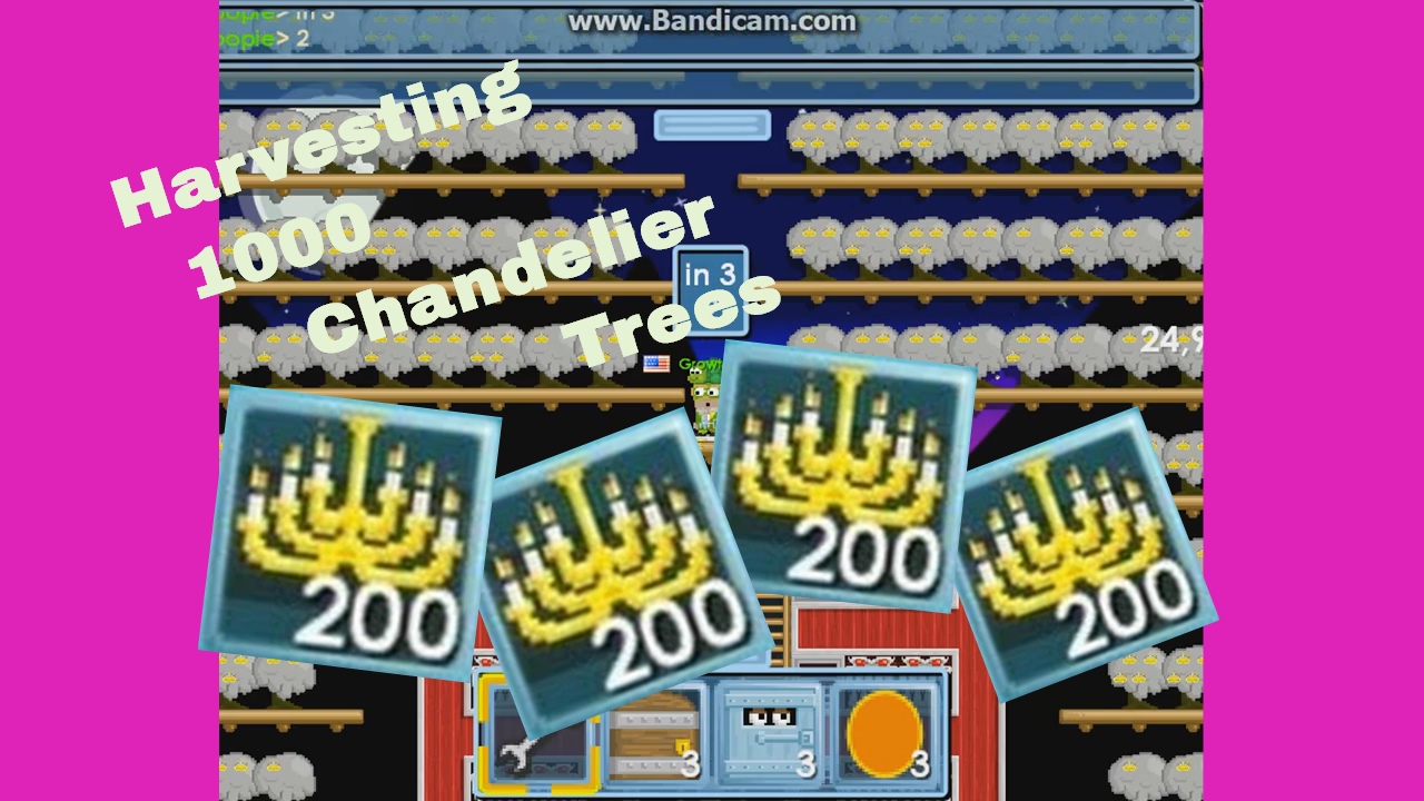 Growtopia Harvesting 1000 Chandelier Trees YouTube