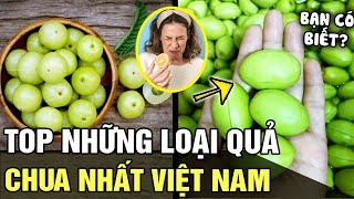 Top những loại quả có ĐỘ CHUA LEVELMAX ở Việt Nam, nghe tên thôi đã CHẢY NƯỚC MIẾNG | Tin nhanh 24h