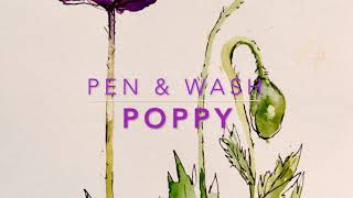 WATERCOLOR POPPY PAINTING, PEN & WASH POPPY (watercolour pen and ink poppy painting)