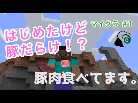 シダのマインクラフト 9 渓谷 危険 渓谷に挑戦しますが 悲しい結末を迎えました Youtube