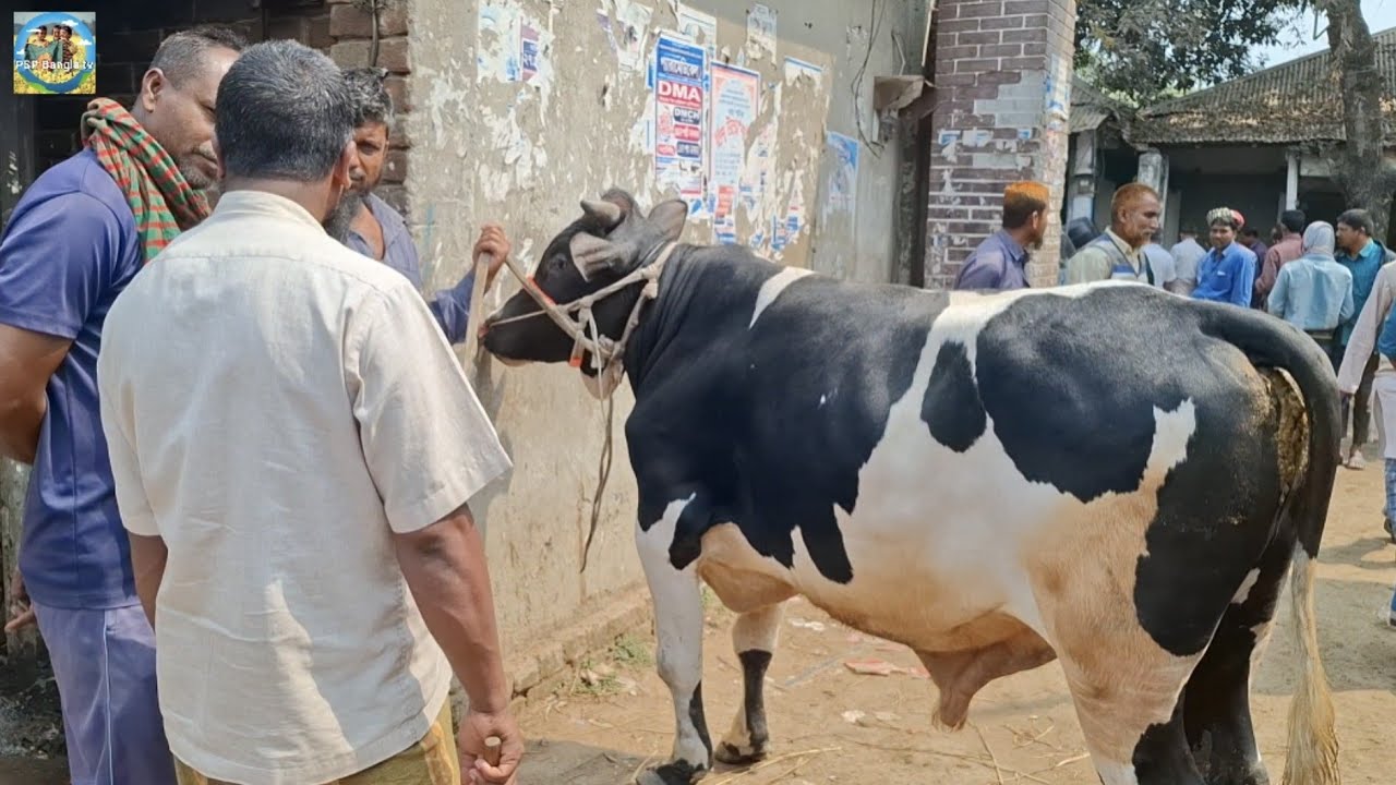 @ ৩ ফেব্রু