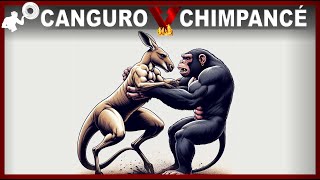 CANGURO vs CHIMPANCÉ. ¿Podrían las FUERTES Patadas del Canguro derrotar al PRIMATE?