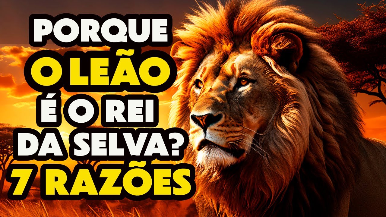 Leão - Porque o LEÃO é o REI da SELVA? - 7 MOTIVOS PORQUE O LEÃO É ...