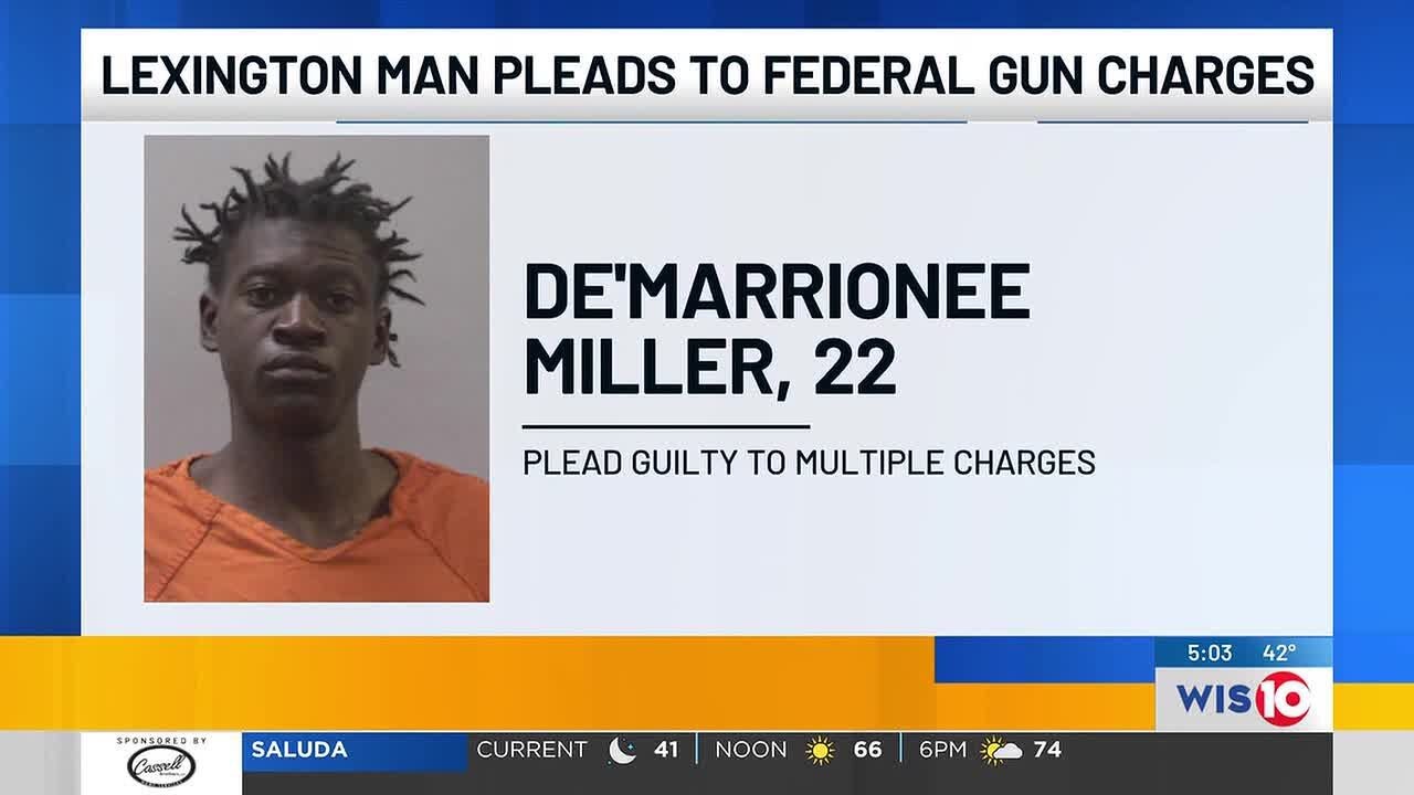 Lexington County man pleads guilty to gun charges in federal court ...