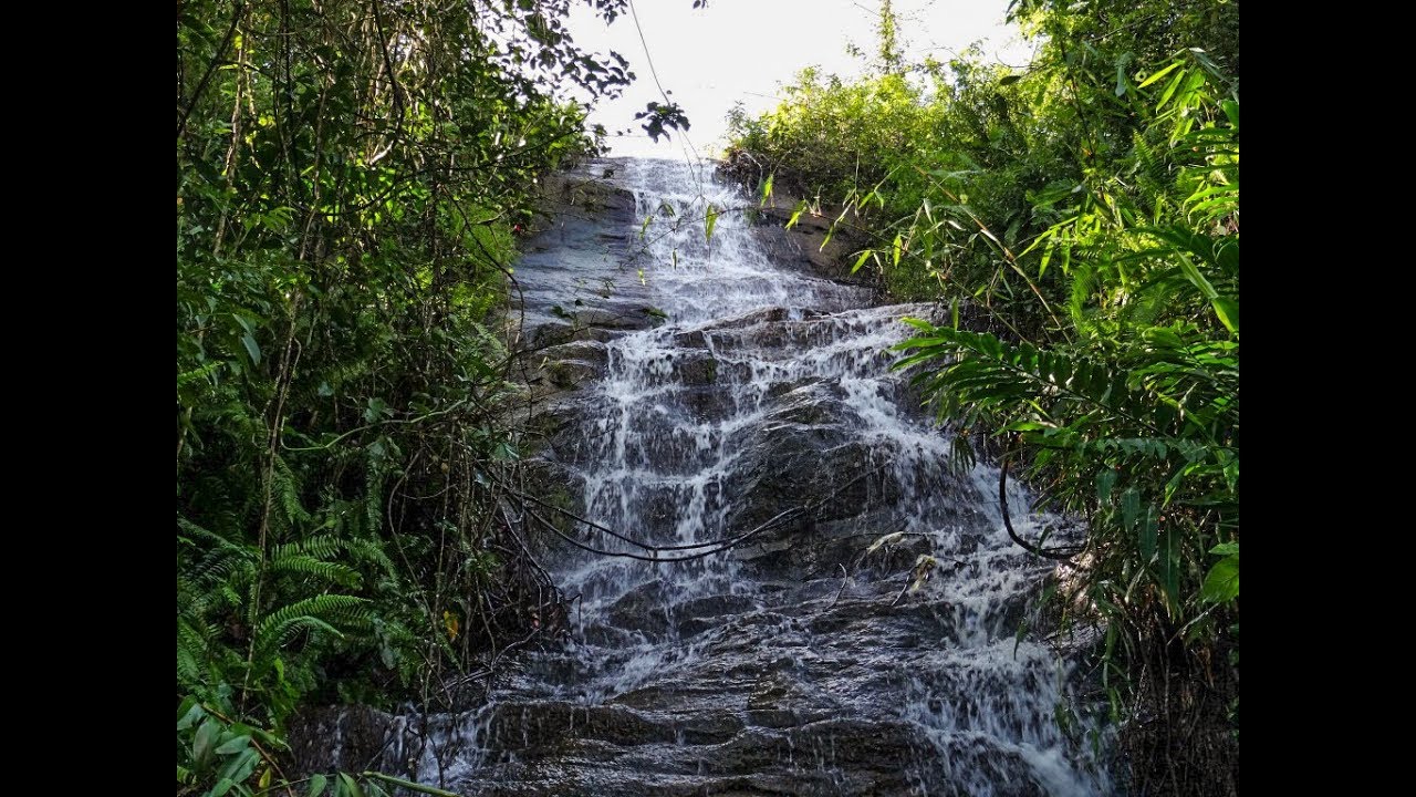 Jayawindagama Ella | ජයවින්දාගම ඇල්ල, Jayawindagama (2014)