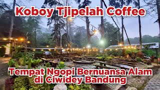 Koboy Tjipelah Coffee - Tempat Ngopi Sejuk di Ciwidey Bandung