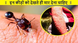 Most Dangerous Bugs in the World | DEADLIEST and DANGEROUS Insects by UNKNOWN FACTS HINDI 4,921 views 9 months ago 7 minutes, 53 seconds