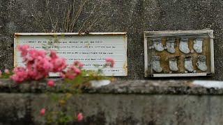 Ireland to excavate mass grave at Church-run Mother and Baby home | REUTERS