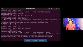 🌀 Running Flux in a Single Docker Container and in User-Space Under Slurm