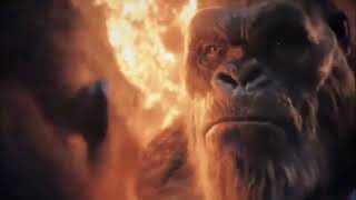 Kong Punches Yap Meme #memes #funny #relatable #viral #kong #trending