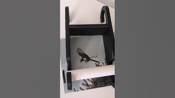 a very functional print #randomprintables #3dprint