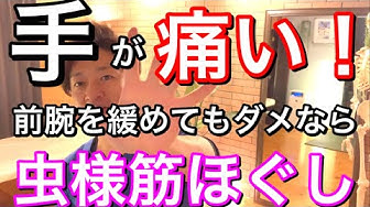 虫様筋 Youtube 虫様筋 Youtube