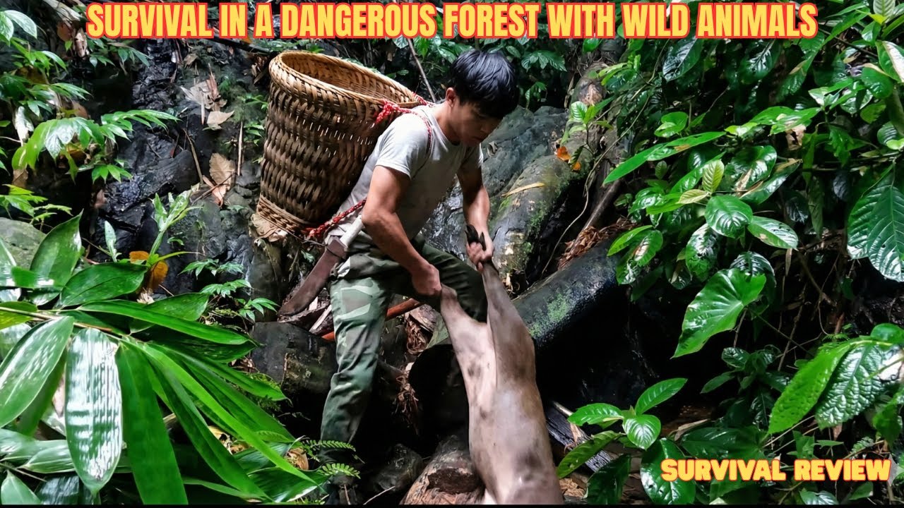 Solo Survival: Catching Big Wild Prey in the Deep Jungle - YouTube