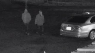 Guns, ammo stolen from Los Lunas pawn shop