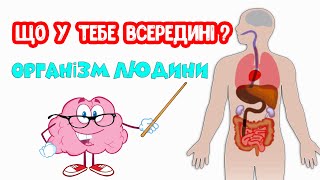 Організм ЛЮДИНИ. Що у тебе всередині?