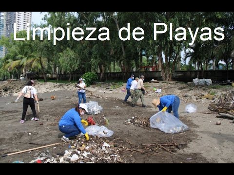 Plástico continua impactando en el medio ambiente y playas dice bióloga marina Gabriela Etchelecu