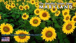USA Maryland State Symbols/Beautiful Places/Song MARYLAND, MY MARYLAND w/lyrics