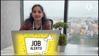 Looking for the Best  Java Developer Join Our Team Now!