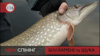 Коли активне клювання щуки?