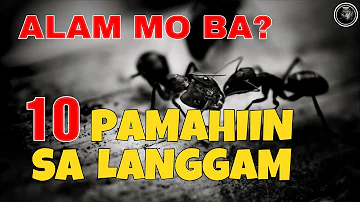 ALAM MO BA ? | MGA PAMAHIIN TUNGKOL SA LANGGAM | Bhes Tv