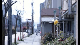 Climb The Mind 「近影」（Official Music Video) - YouTube