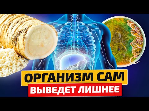 Видео: Почистване на организма и избавяне от наднорменото тегло с кефир