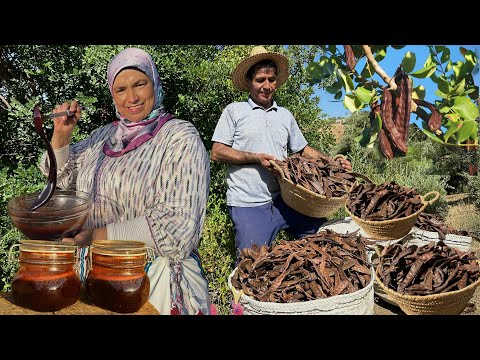 جني محصول الخروب و تحويله الى عسل طبيعي لذيذ