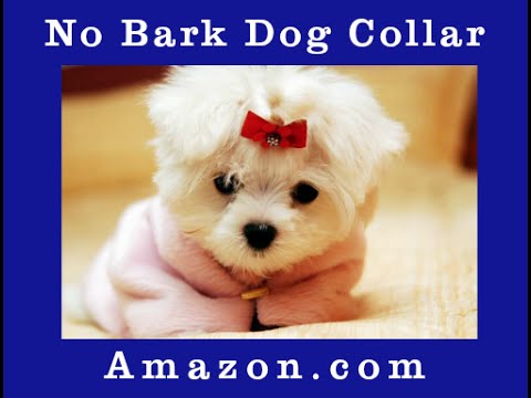 No Bark Dog Collar **VIBRATE** Vibration Dog Training ...