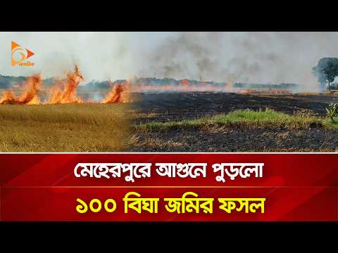 মেহেরপুরে আ/গু/নে পুড়লো ১০০ বিঘা জমির ফসল | Nagorik TV