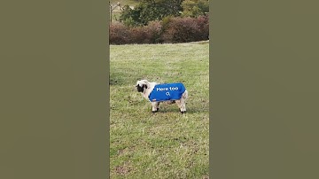 Near or far, our network is with you. Even here…Awarded Best Network Coverage by Uswitch 2025.