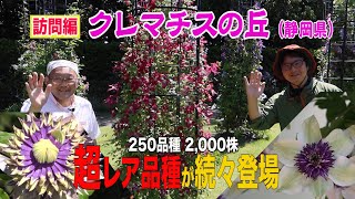 クレマチスの丘（静岡県）を訪問！～ガーデンドクターTV45