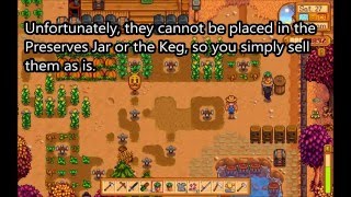 How to Grow the Sweet Gem Berry (Stardew Valley)