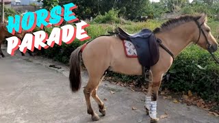 Parada Ng Mga Kabayo Sa Laguna Bayan Ng Majayjay Lhdic77