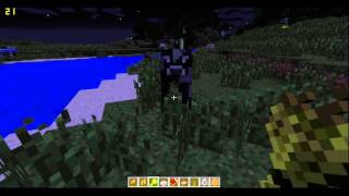 minecraft comment capturer des animaux pour en fair un elevage