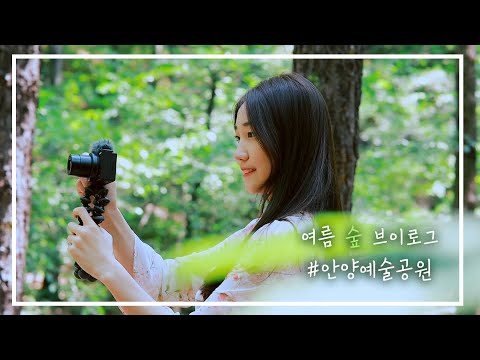 [소니 ZV-1] 안양유원지 여름 숲 V-log
