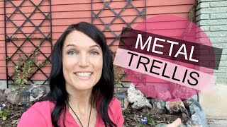 Metal Trellis with Dad- DIY