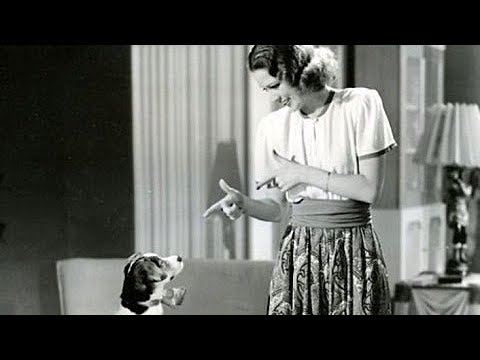 Disclosure - Where Angels Fear To Tread