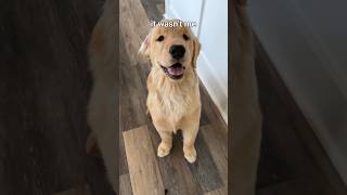 Desperate Times Call For Desperate Measures...