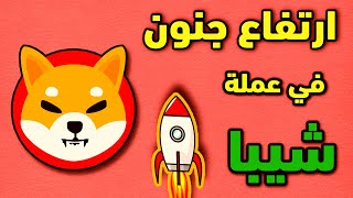 عملة شيبا | ارتفاع كبير في عملة شيبا | اسباب ارتفاع عملة شيبا SHIB | اخر اخبار عملة شيبا