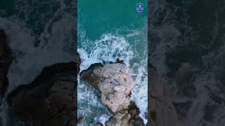 God Reconciled All Things To Himself  Colossians 120  bibleverseoftheday shorts youtubeshorts