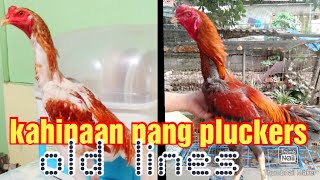 Disadvantages & small advantages of Pluckers Kaya parating ta______???? watch & learn