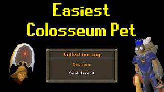 Easiest Colosseum Pet Ever
