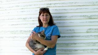 Five Minute Documentary - Purrfect Hearts Cat Rescue