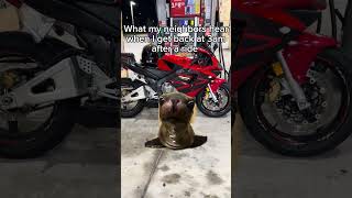 🙄 #cbr600rr #motorcycle #funny #motorcycles #fyp