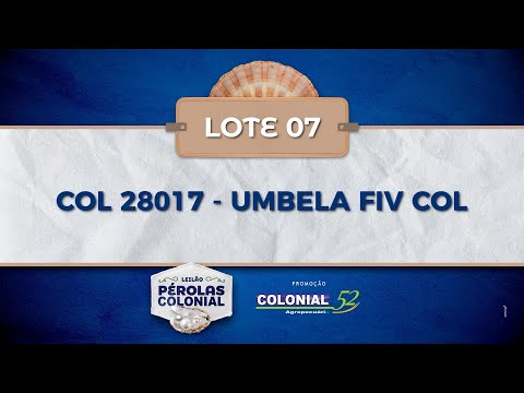 LOTE 07 COL 28017